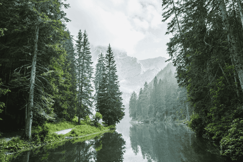 Nachhaltigkeit im Fokus